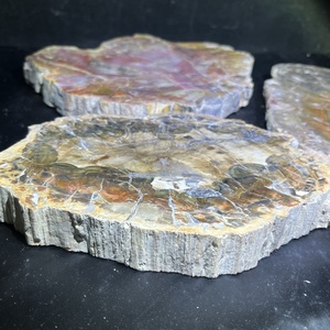 Vente chaude en vrac en bois brut grandes dalles fossiles en bois pétrifié en bois pétrifié poli pour ornement - Product Image 4