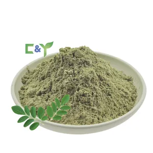 Best quality moringa leaves moringa leaf capsule moringa powder