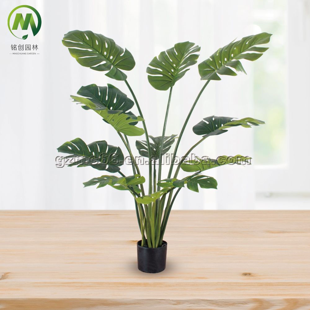 monsteria- 13leaves- 150cm