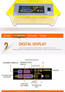 Hhd Mini Poultry 56 Eggs Dual Battery Power 220v And 12v Full-automatic Chicken Incubator Egg Incubator For Eggs