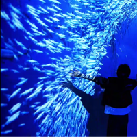 Projection interactive immersive 3D Capteur mural interactif 360 Projection murale de cartographie Projecteur immersif Aquarium