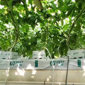 Upper 40x8x3 дюйма, гидропоника, кокеат, мешки для выращивания каменной ваты, плиты для выращивания помидоров перца - Product Image 5