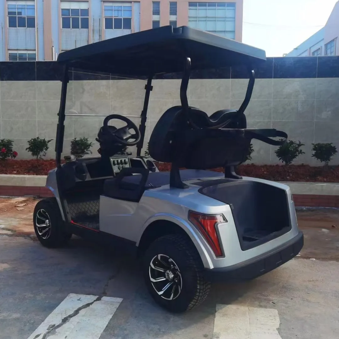 LT-YTK électrique 2 places Mini voiturette de golf électrique 48V Buggy de golf avec batterie au lithium