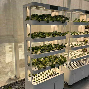 Sistema de Cultivo Hidropónico Completo Skyplant de Alta Rigidez para Agricultura, Jardín y Hogar, con Bomba para Vegetales, en Oferta - Product Image 3