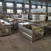 Bevroren Fruit En Groente Iqf Productielijn Vruchtensap Verwerkingslijn Knoflook Schoon Machine