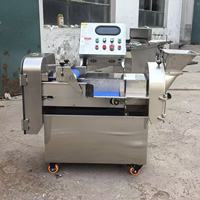Jiayang Elektrische Kleine Automatische Gemengde Snijmachine 750W voor Groenten en Fruit, zoals Selderij, Peterselie, Groene Ui, Komkommer en Aardappel