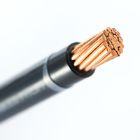 Cable Flexible de Cobre THHN THWN/Nylon 14 12 10 8 6 4 1 2 1AWG de un Solo Núcleo, con Clasificación de 450V-750kV para Cableado Doméstico