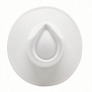 Sombreros Panamá de 20 Colores Listos para Enviar, Estilo Informal para Hombre, Sombreros Fedora de Ala Ancha Personalizados al por Mayor para Uso Casual de Negocios y al Aire Libre - Product Image 5