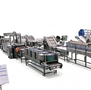 Commercial Banana Plantain Chips Continuous Frying Processing Production Line - Product Image 1