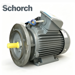 Envío Rápido Motor de Inducción Schorch ATB BALDOR VEM BROOK de 380v 440v, 7.5HP 100HP 125HP 200HP - Product Image 1