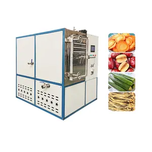 Blueberry Powder Vaccum Freeze Dryer Freeze Dry Machine For Sale