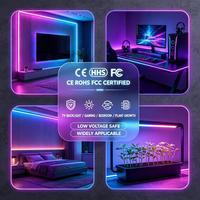 Bande lumineuse LED RGB à intensité variable en silicone IP65 pour contrôle intelligent, avec CRI80 et 16/30/60 LED pour la décoration intérieure