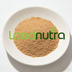 壁を破ったチャガ茸エキス 食品・サプリメント用 チャガ茸パウダー - Product Image 4