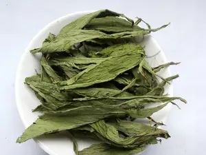 خلاصة نبات Stevia خلاصة أوراق Stevioside