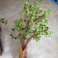 Vente en gros de feuilles de Murraya artificielles en PU au toucher réel, branche réaliste, verdure de Milan, tige pour vase de mariage, décoration florale pour la maison