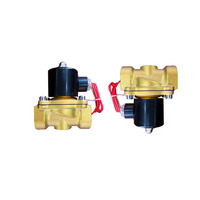 Magneetventiel Normaal Close Elektrische Messing 12V 24V 220V 1 2 3 Inch Voor Water Control Twee manier Magnetische Water Magneetventiel