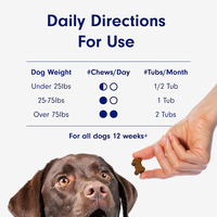 Friandises pour la santé des articulations et des hanches des chiens avec glucosamine, MSM et sulfate de chondroïtine - Absorption rapide et sûre - Soutient les articulations pour toutes les races