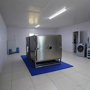 Lyophilisateur compact Liofilizador 100Kg 200Kg 300Kg équipement de séchage sous vide électrique automatique pour la transformation des aliments - Product Image 2