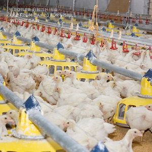 Tierfutterzusätze erhöhen das Schlachtgewicht, verkürzen den Fütterungszyklus und fördern das Wachstum von Nutztieren und Geflügel. - Product Image 4