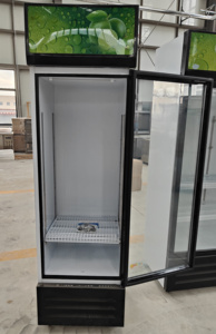 Congélateur de présentation de crème glacée commercial à porte battante simple, dégivrage automatique direct, éclairage LED, réfrigérateur vertical pour aliments congelés - Product Image 6