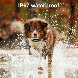 Collar GPS Inalámbrico Invisible para Perros, Rastreador GPS con Cerca Electrónica, Resistente al Agua IP67, Precisión de 2 Metros, Sonido, Vibración y Descarga Eléctrica - Product Image 5