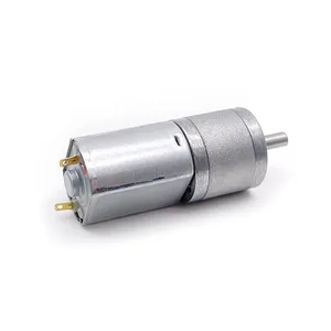 20Mm 6V 12V DC Kích Thước Nhỏ Nam Châm Vĩnh Cửu Geared Chải Động Cơ Micro 4Mm Trục Động Cơ Điện Cho Robot