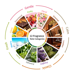 Perfume Eau de Toilette <span class=keywords><strong>ELEA</strong></span> para Mujer, 50 ml, Larga Duración, Aroma Floral y Frutal Personalizable, Moderno y Relajante, Venta al Por Mayor de Fábrica - Product Image 6