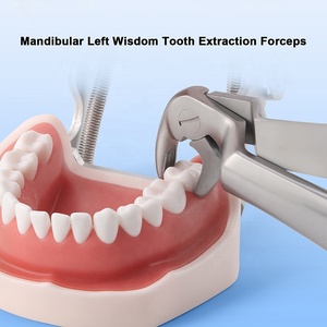 Pinzas de Extracción de Dientes de Sabiduría Mandibulares Izquierdos/Derechos - Product Image 3