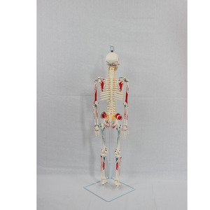 85CM - Product Image 2