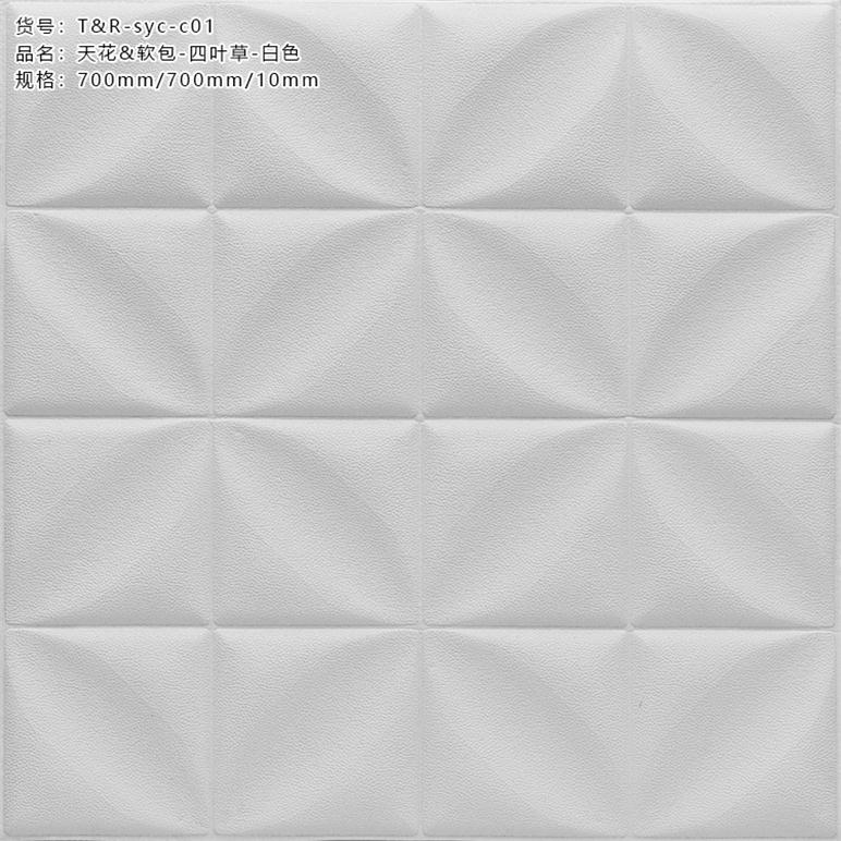 TR-SYC-C01