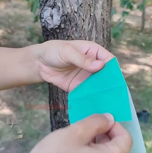 2 cái rắn thân thiện với môi vườn cây bảo vệ Sâu Bướm keo Vòng bẫy cho côn trùng kiểm soát - Product Image 4