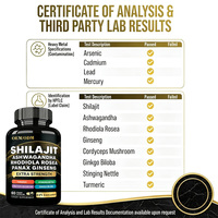 Capsules ODM personnalisées 8-en-1 Shilajit Ashwagandha, Rhodiola Rosea & Ginseng, Soutien Énergie, Endurance et Bien-être