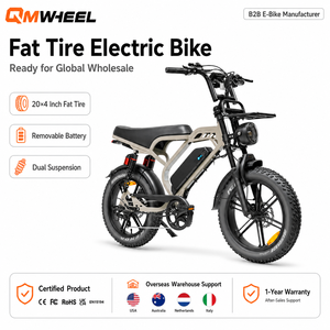 Bicicleta eléctrica de montaña QMWHEEL V20 Limited 48V, estilo e-dirt bike, para venta al por mayor B2B, suministro OEM ODM, proveedor B2B - Product Image 1