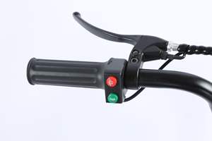 Bicicletta elettrica <span class=keywords><strong>a</strong></span> <span class=keywords><strong>3</strong></span> <span class=keywords><strong>ruote</strong></span> per passeggero <span class=keywords><strong>a</strong></span> corpo aperto cestello 48v/60v consegna <span class=keywords><strong>a</strong></span> distanza Scooter elettrico certificato EEC - Product Image 6