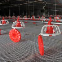 Prix d'usine XDA Nouveau capteur de contrôle de mangeoire automatique à fin de ligne pour l'alimentation des poulets de chair, équipement avicole