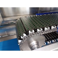 Fstg — petite machine automatique pour la fabrication de bonbons clair, gelée, vitamine, ours gay