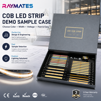 Nouvelle boîte d'échantillons de bande flexible de puce LED COB avec haute CRI90 différentes tailles DC24V tension d'entrée certifiée ROHS pour l'exposition