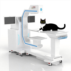 Mô Hình Mới Pha Lê Rõ Ràng 3D Hình Ảnh Thú Y <span class=keywords><strong>CT</strong></span> <span class=keywords><strong>Scan</strong></span> Y Học Cho Chó Và Mèo - Product Image 6