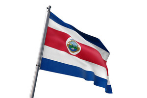 Изготовленный на заказ брендинг 3x5FT Costa Rica Flag экспресс-доставка цифровая печать нейлон полиэстер виниловый Стекловолоконный материал корабли 7 дней - Product Image 4