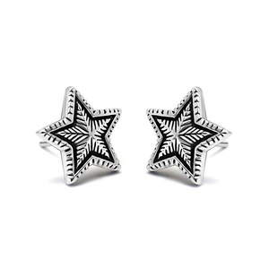 Pendientes con forma de estrella de acero de titanio estilo vintage para hombres y mujeres, joyería de regalo CF091 - Product Image 5