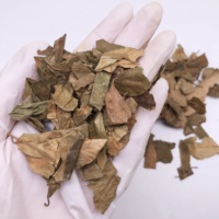 7022 Chi Geng Teng Feuilles de Gymnema Séchées en Gros de Haute Qualité pour Tisane, Feuilles de Gymnema Sylvestre