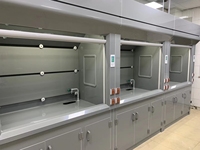 Hotte de laboratoire en PP à conduit intégré pour tests chimiques d'acides et d'alcalis forts, conforme EN14175, avec évier intégré