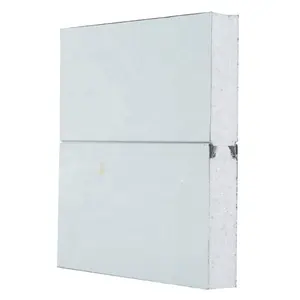 40mm/50mm/75mm/100mm PIR/PU/EPS /Rock Wool Board Insulated Cold Room /Cleanroom/Hospital Insulation Sandwich Panels