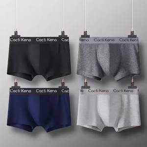 Lotto all'ingrosso di biancheria intima da uomo: Boxer classici in cotone, slip basici maschili - Product Image 2