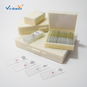 Kính hiển vi chuẩn bị Slide meiosis chuẩn bị Slide/mitosis chuẩn bị Slide - Product Image 2