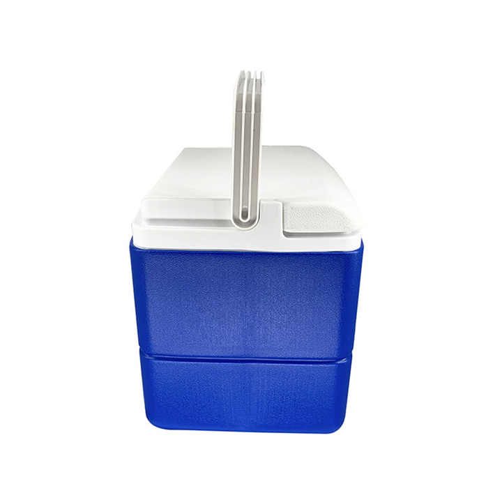 Factory Wholesale Cold Chain Transport Refrigerated Box 5L/12L/20L/500L ...