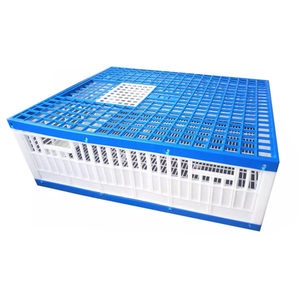 Jaula de Entrenamiento para Palomas, Plástico ABS Plegable, Suministros para Palomas Mensajeras, Jaula Plegable - Product Image 5