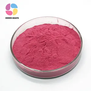 High Quality Acai Berry Powder 98% Acai Berry Powder
