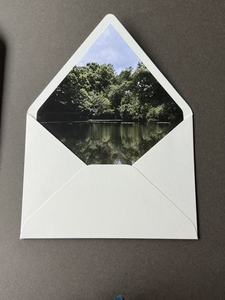Tarjetas de Visita Personalizadas de Alta Gama con Impresión Flexográfica en Verde Salvia, Laminadas con Película, Logotipo Personalizado, Impresión de Alta Calidad - Product Image 2