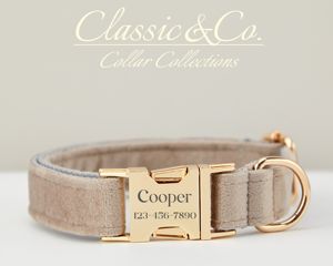 Grey Veet Cá nhân hóa con chó cổ áo dây xích thiết lập với hoa & BOW TIE cho Nam Nữ PET, vàng khắc tên tag, Wedding Puppy Quà Tặng - Product Image 2